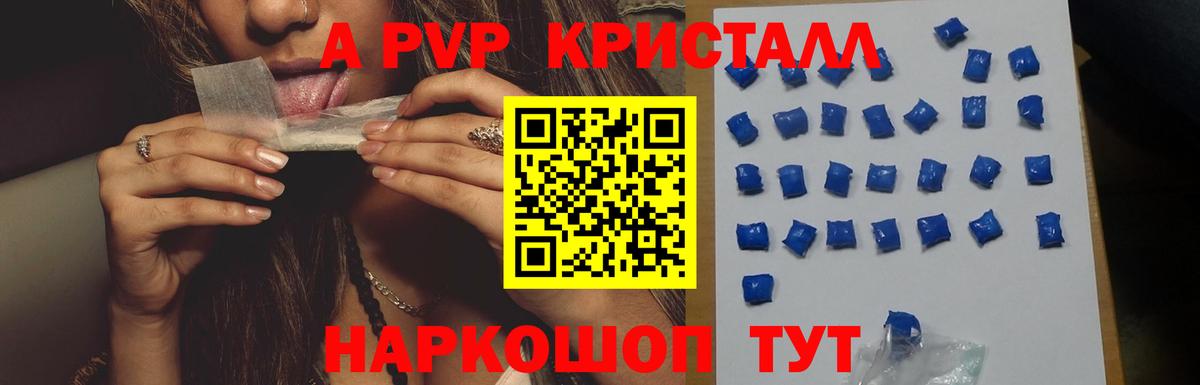 A PVP СК КРИС Ачинск