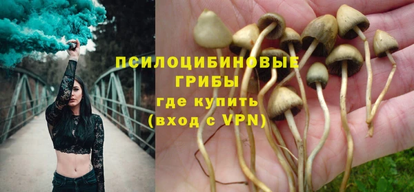 МДПВ Алексин