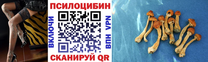 цена наркотик  Ачинск  Галлюциногенные грибы мицелий 