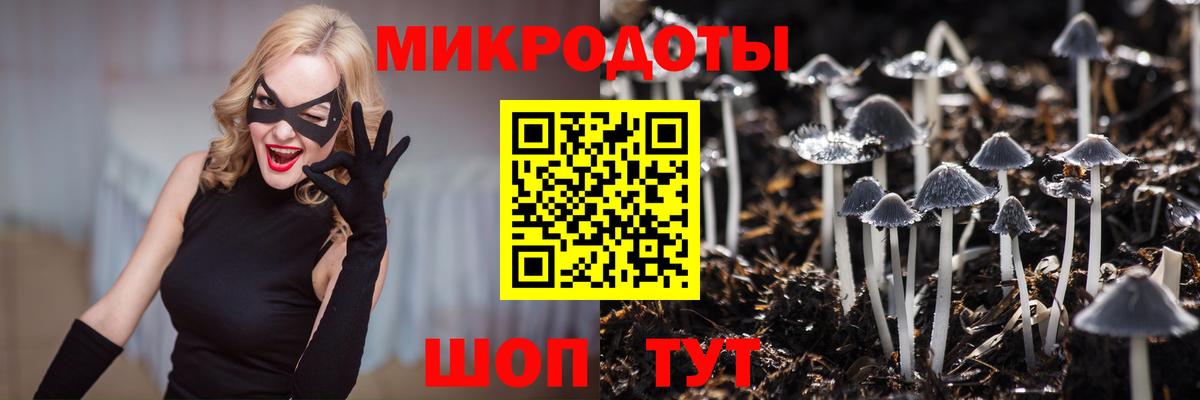 Ачинск  Галлюциногенные грибы Psilocybe  Вход с VPN  Псилоцибиновые грибы GOLDEN TEACHER 